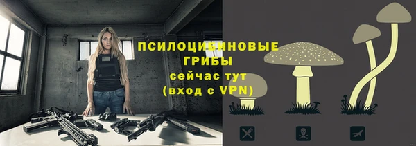 стаф Горняк
