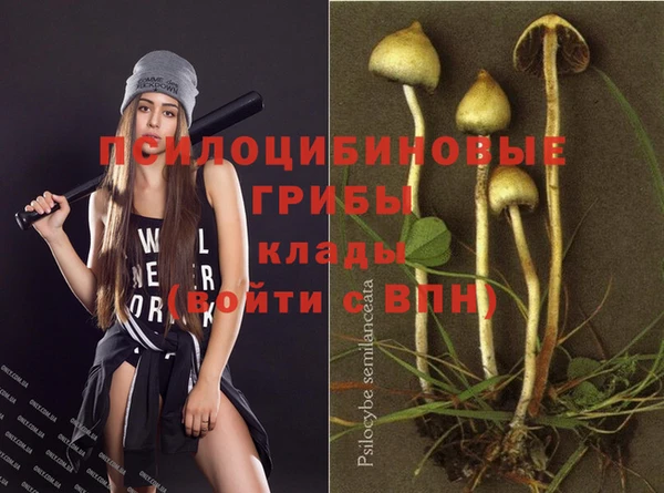стаф Горняк