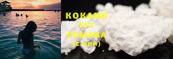 стаф Горняк
