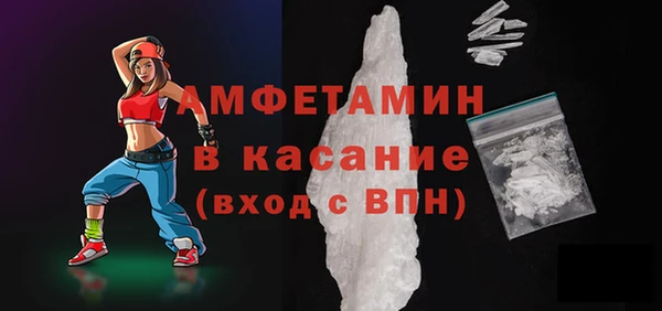 стаф Горняк