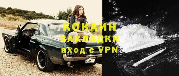 стаф Горняк