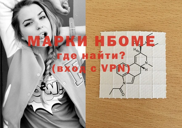 стаф Горняк