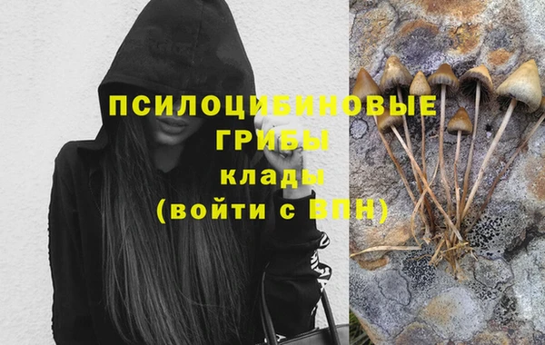 стаф Горняк