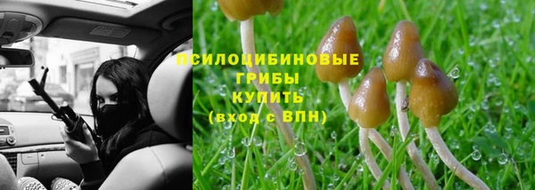 а пвп мука Горно-Алтайск