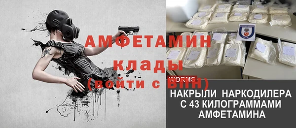 стаф Горняк