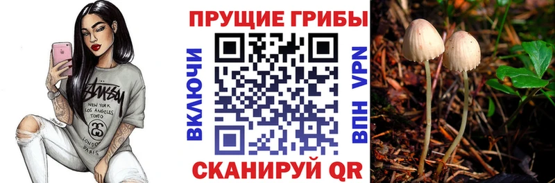 Галлюциногенные грибы MAGIC MUSHROOMS  Малаховка 